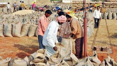 KATNI NEWS: So far 69 thousand 152 metric tonnes of paddy has been procured in the district at the support price